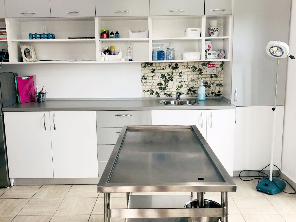 Sala de consultație și tratament LocalVet Tunari
